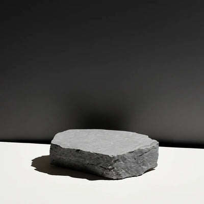 Anthropologie Decorative Rock