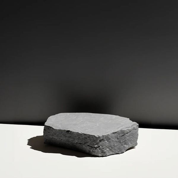Anthropologie Decorative Rock